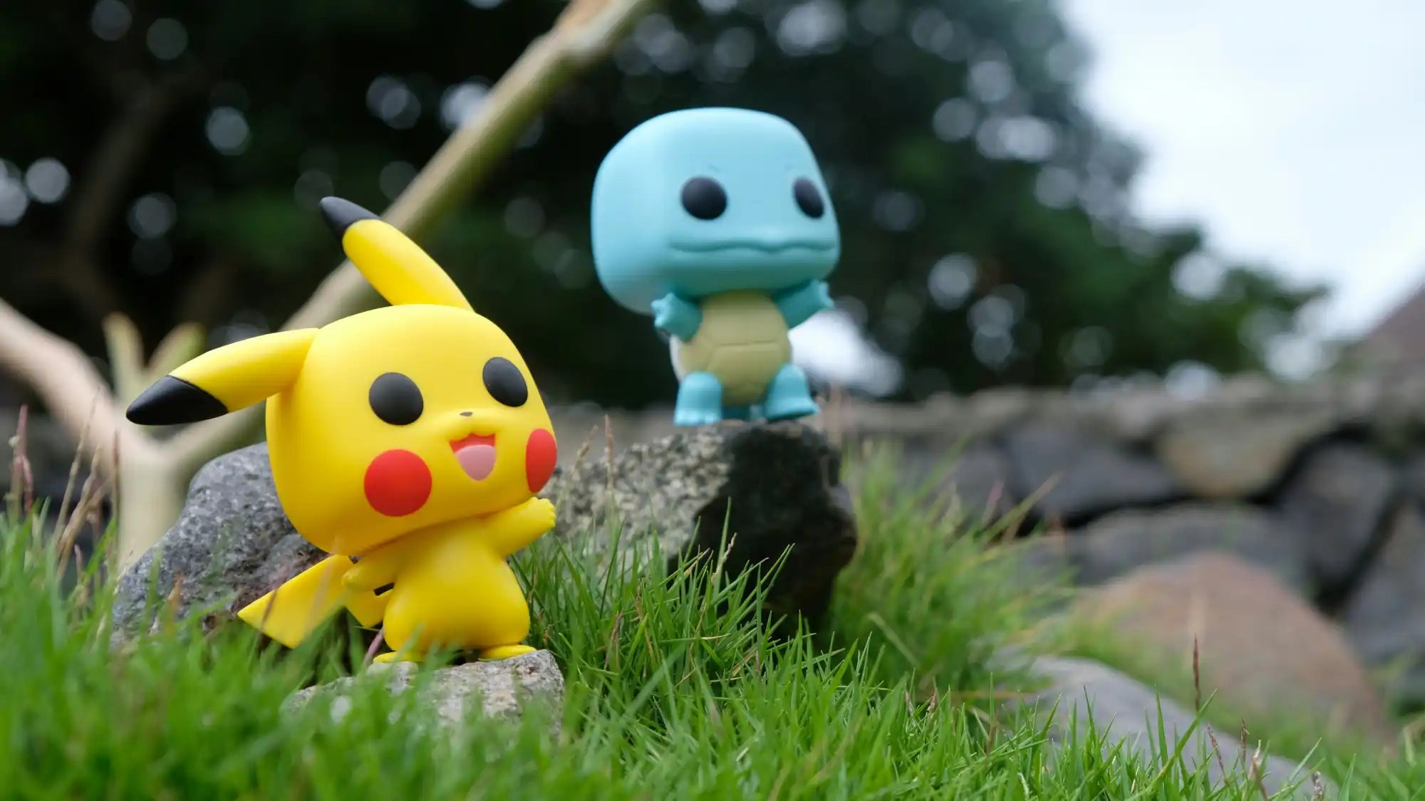 Bannerbild mit den Pokémon Funko Pop! Figuren Pikachu und Squirtle, die auf einem Felsen im Gras posieren. Die Szene ist in einem natürlichen, unscharfen Hintergrund inszeniert und betont die Details der Sammelfiguren.
